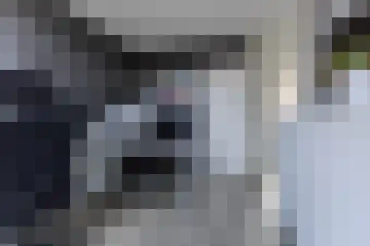 De Karsseboom 5 Wormer thumbnail 22