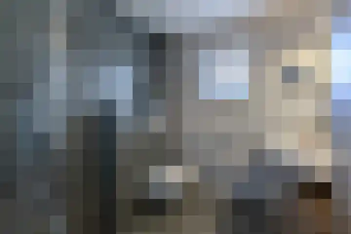 De Karsseboom 5 Wormer thumbnail 23