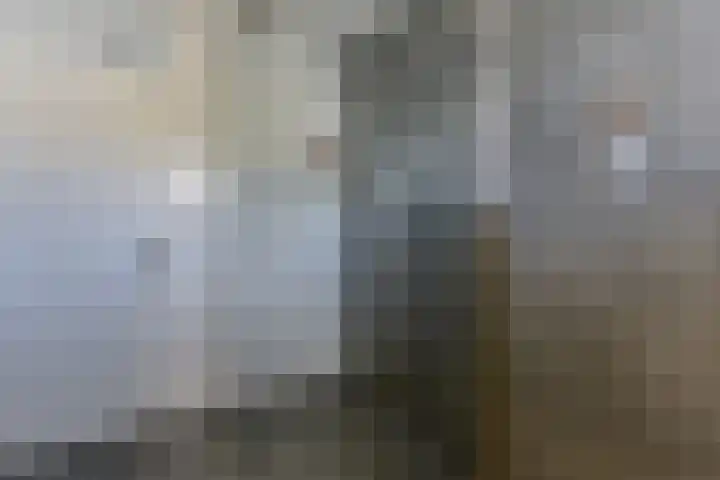 De Karsseboom 5 Wormer thumbnail 24