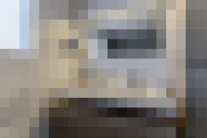 De Karsseboom 5 Wormer thumbnail 25