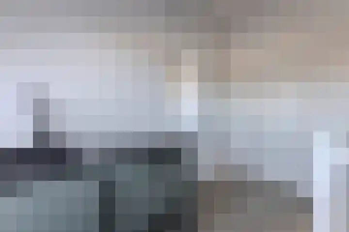 De Karsseboom 5 Wormer thumbnail 27