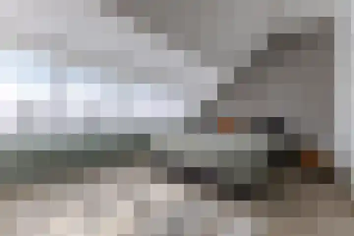 De Karsseboom 5 Wormer thumbnail 28