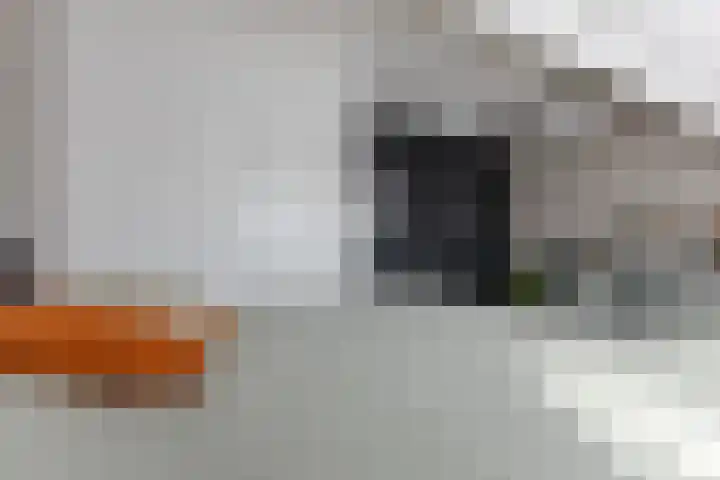 De Karsseboom 5 Wormer thumbnail 29