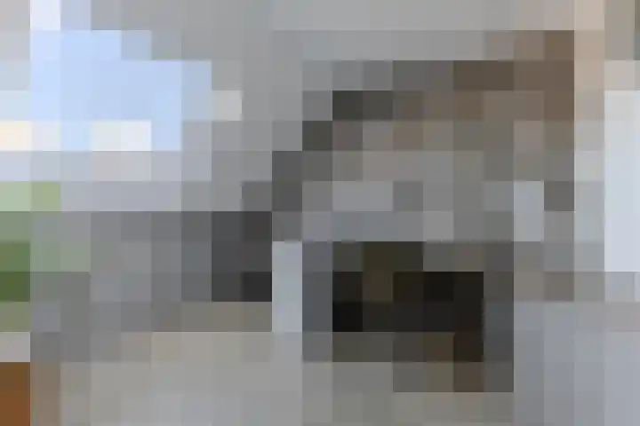 De Karsseboom 5 Wormer thumbnail 30
