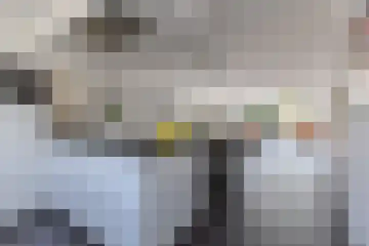 De Karsseboom 5 Wormer thumbnail 4