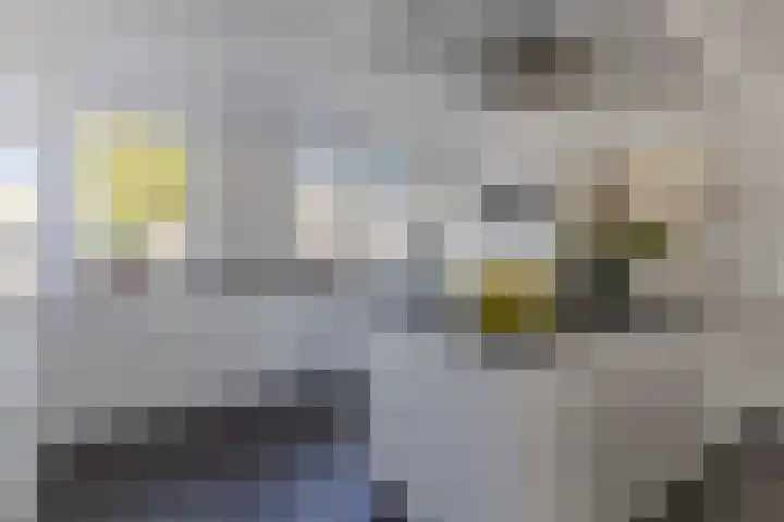 De Karsseboom 5 Wormer thumbnail 8