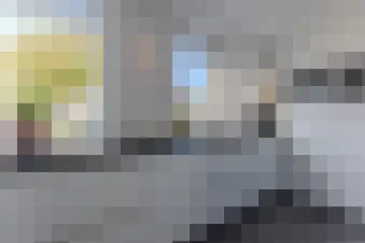 De Karsseboom 5 Wormer thumbnail 9