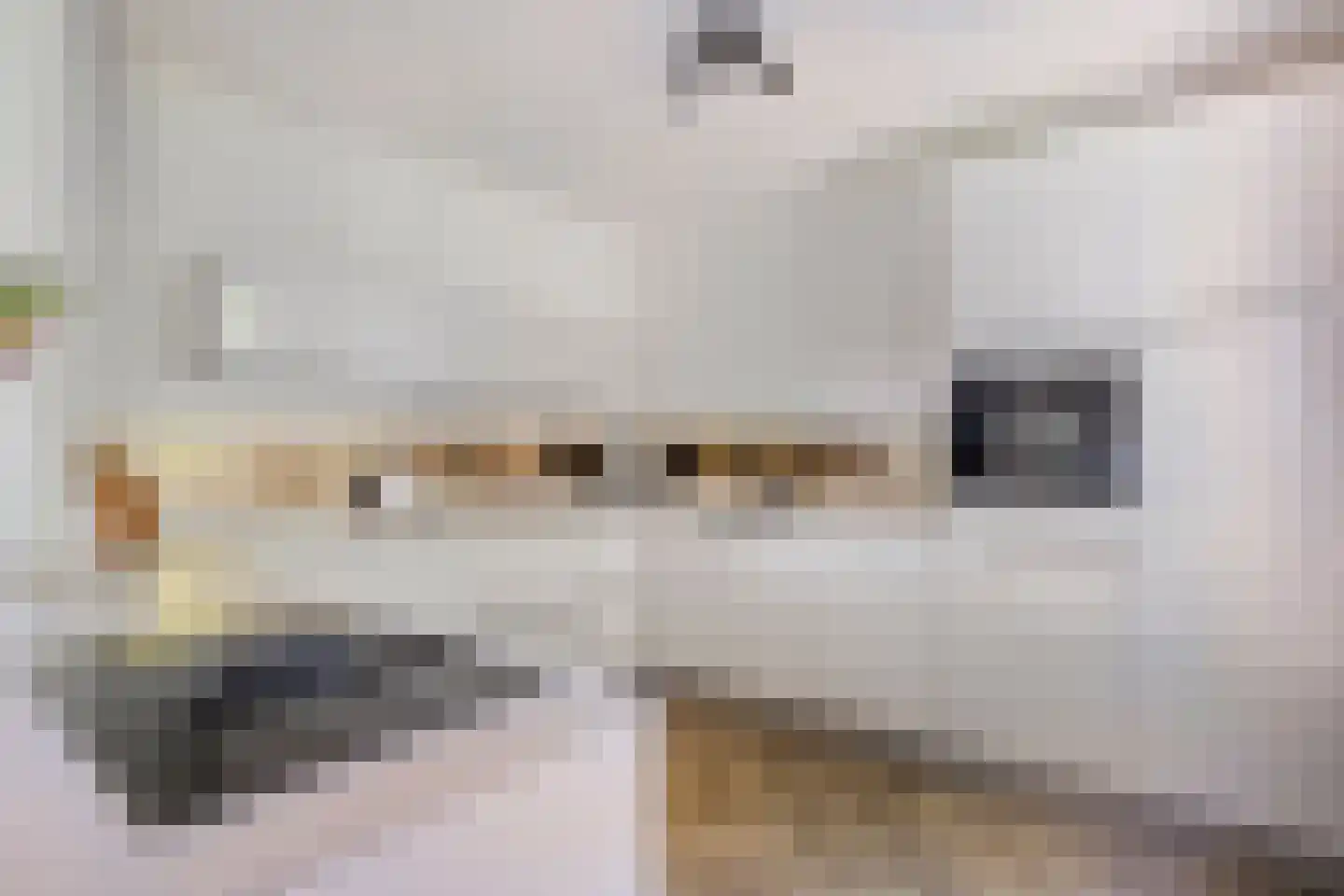 De kas 22 Oss thumbnail 12