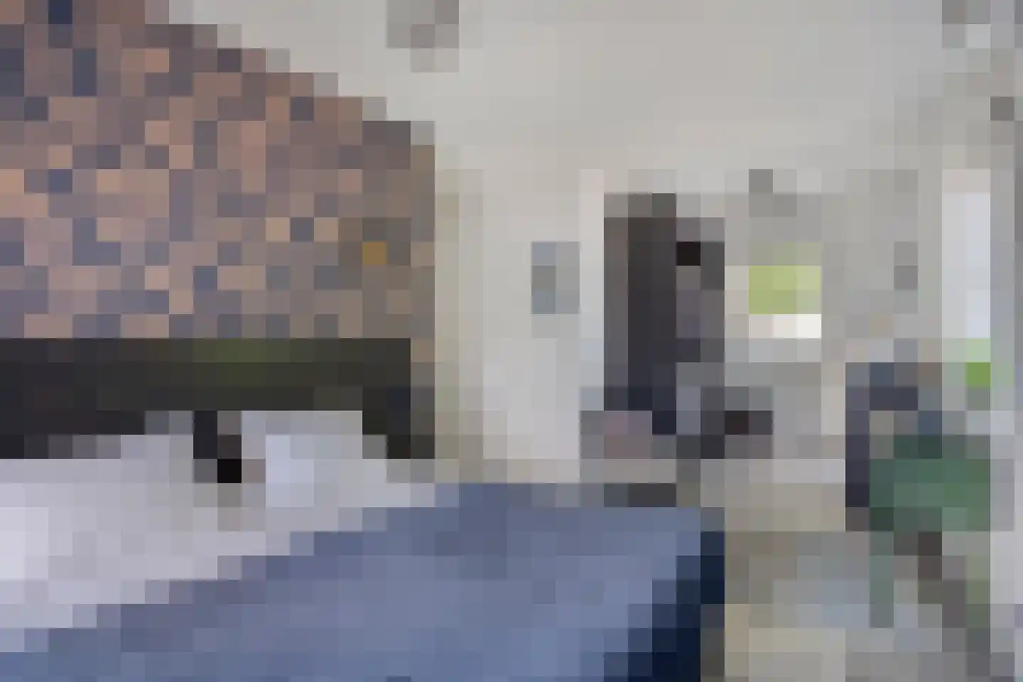 De kas 22 Oss thumbnail 17