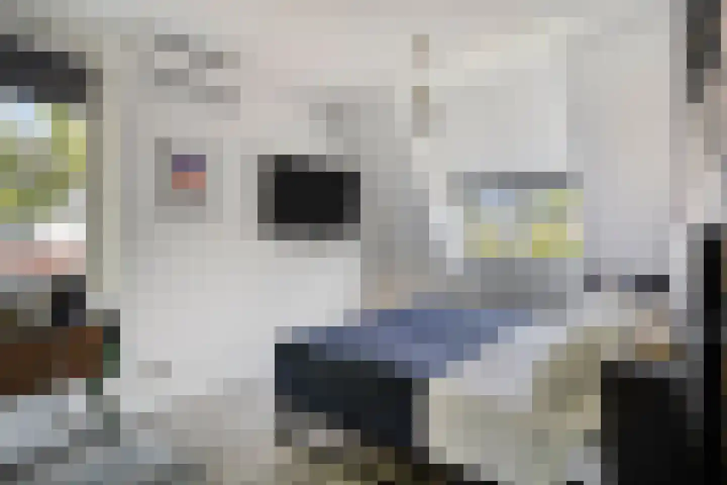 De kas 22 Oss thumbnail 18