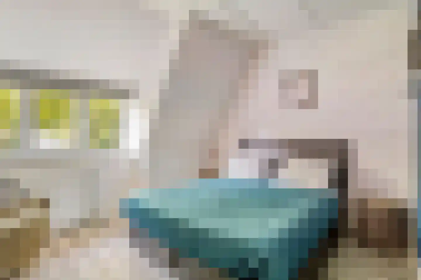 De kas 22 Oss thumbnail 20