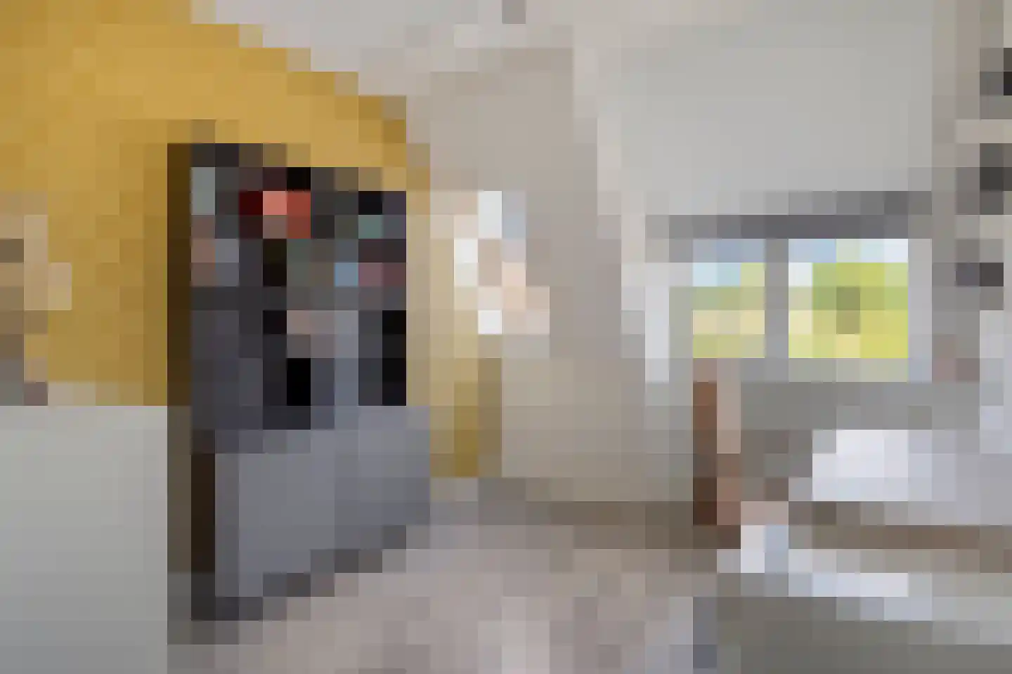 De kas 22 Oss thumbnail 22