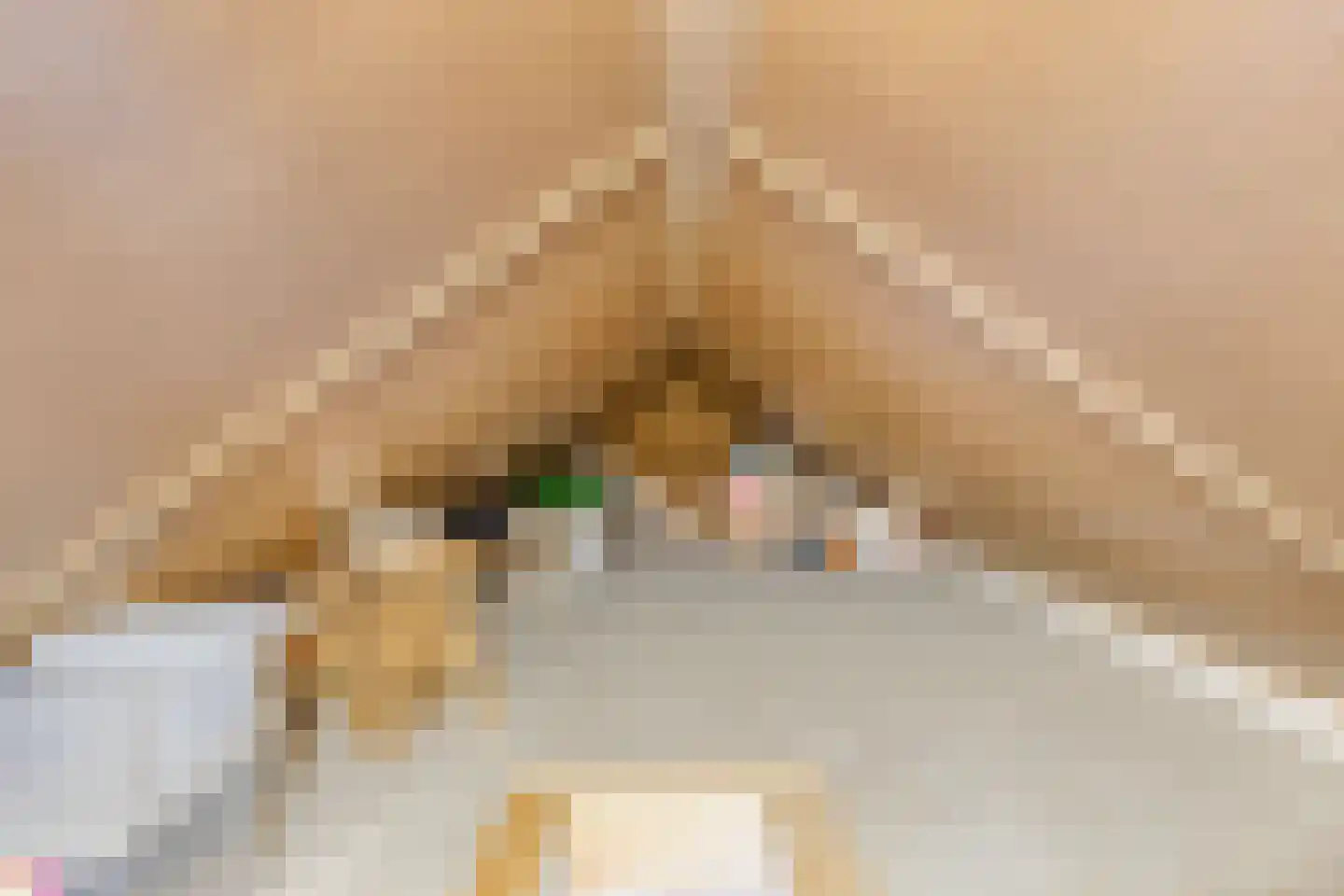 De kas 22 Oss thumbnail 27