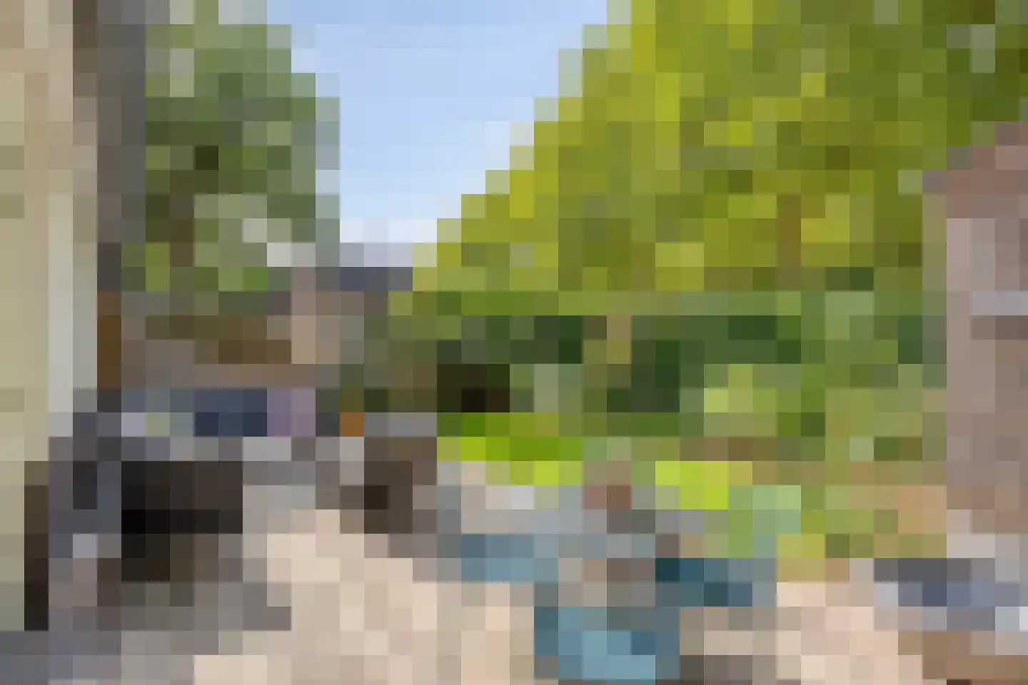 De kas 22 Oss thumbnail 31