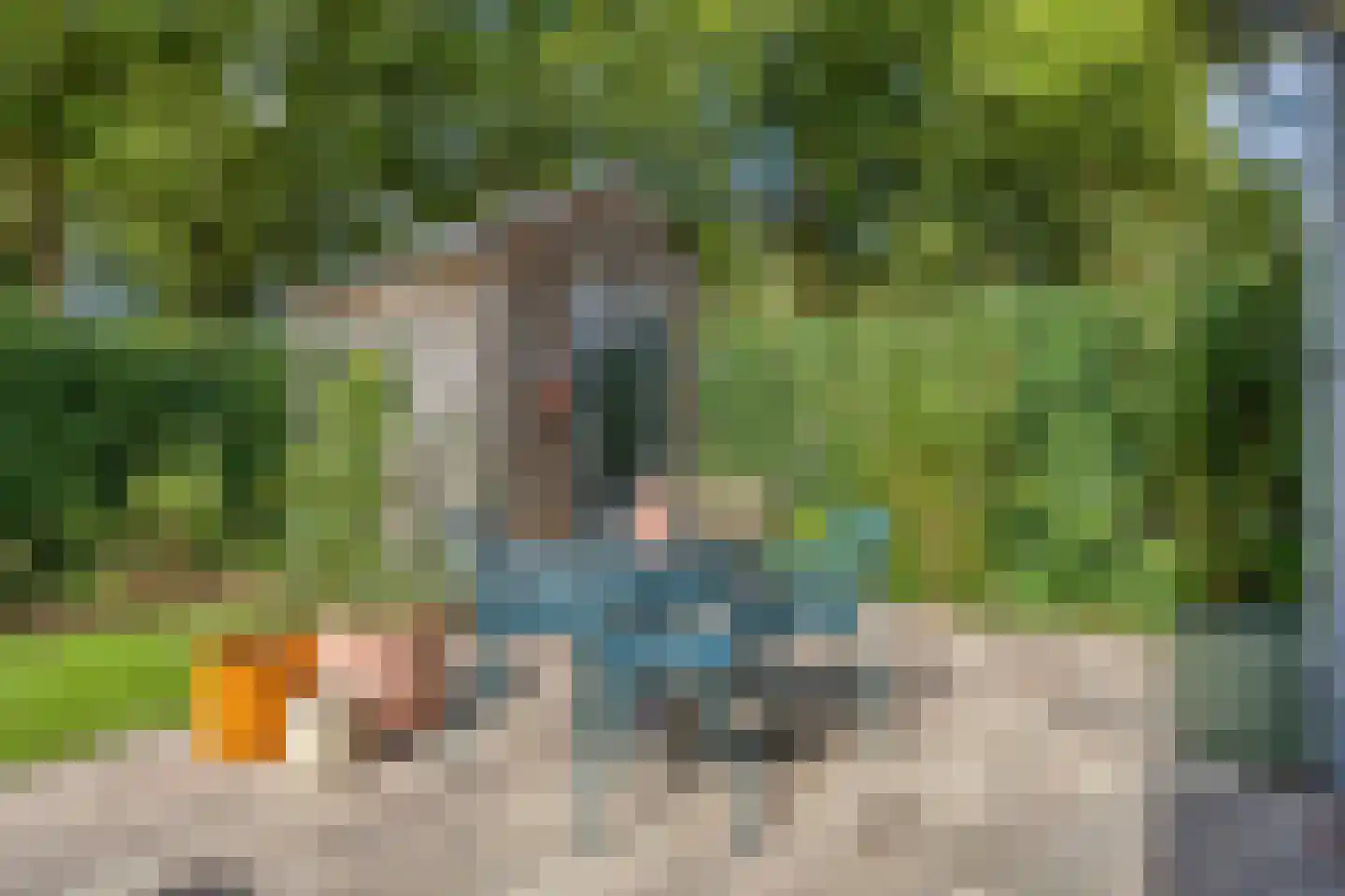 De kas 22 Oss thumbnail 33