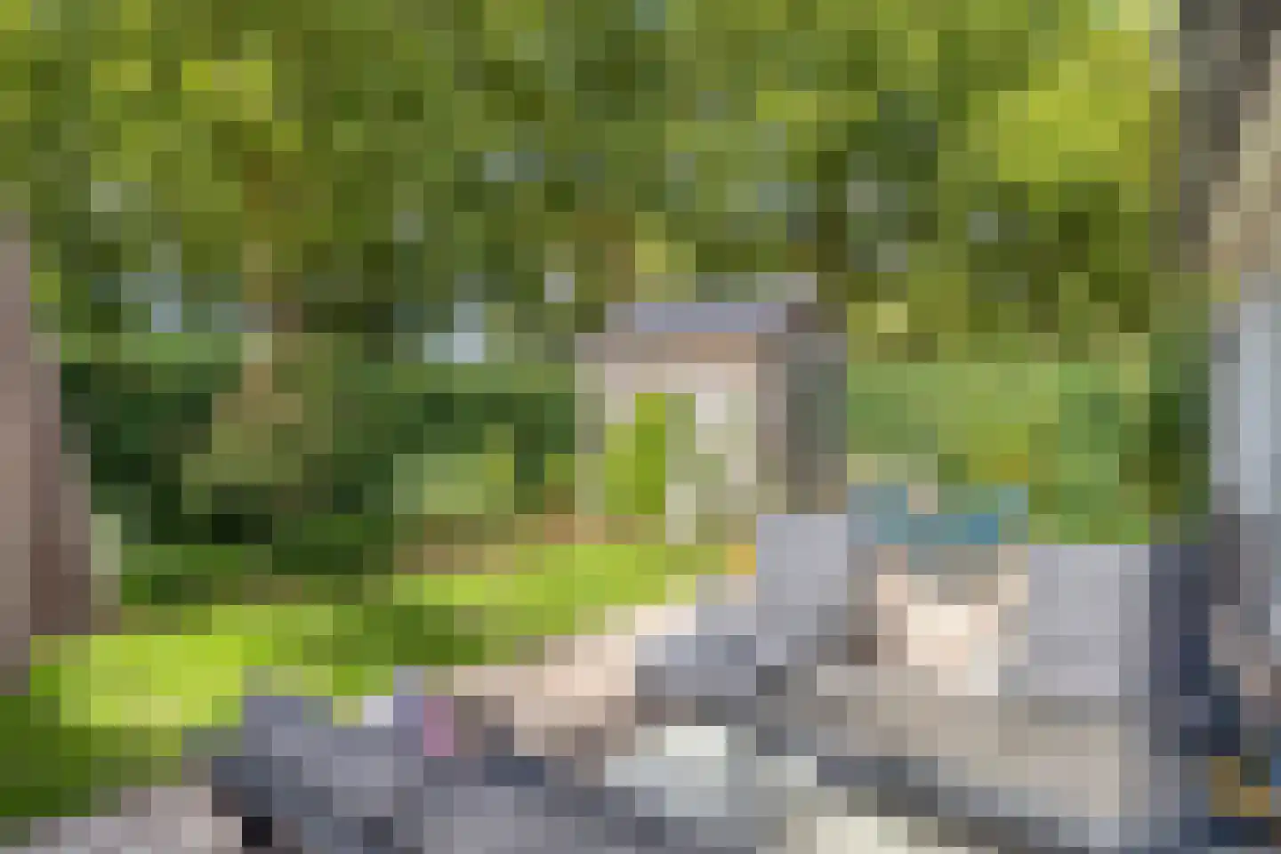 De kas 22 Oss thumbnail 34