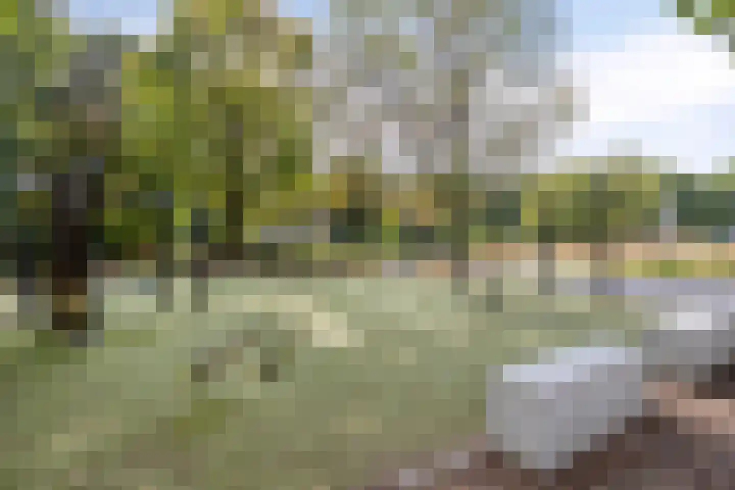 De kas 22 Oss thumbnail 38