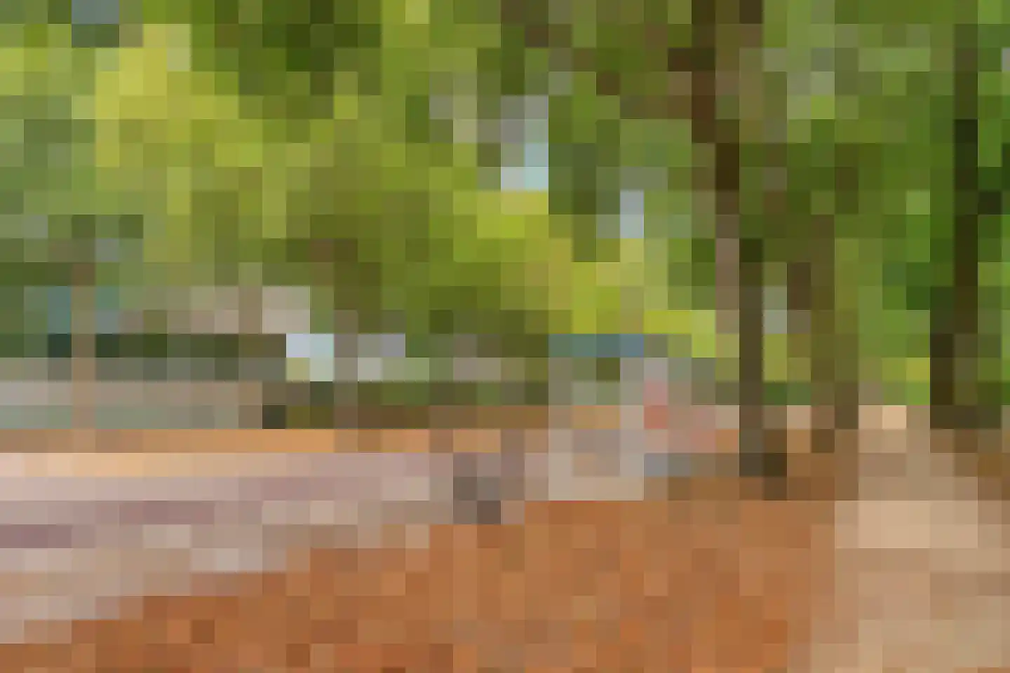 De kas 22 Oss thumbnail 39