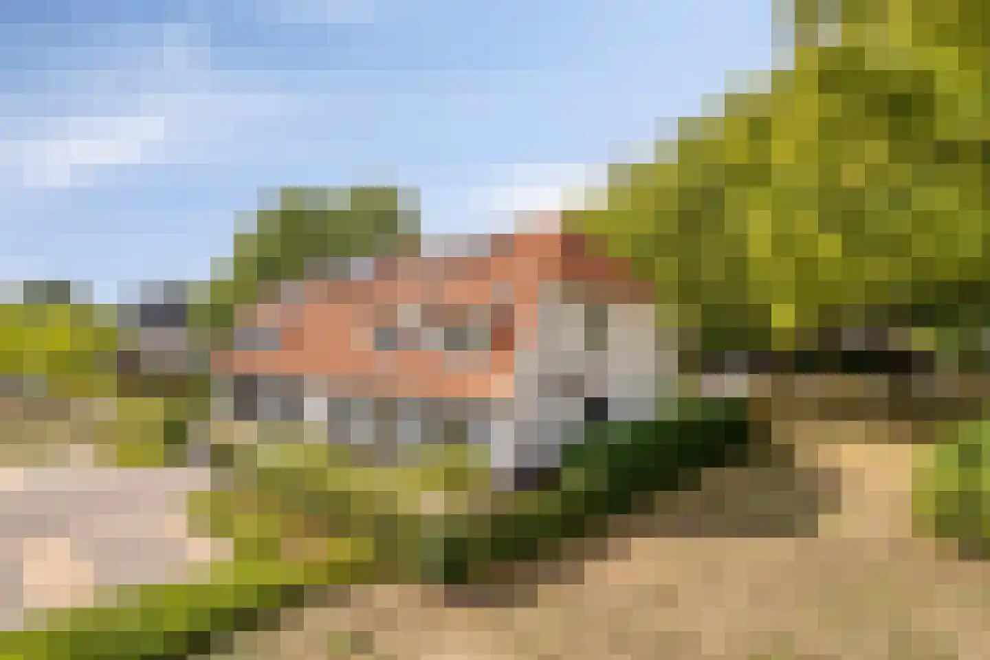 De kas 22 Oss thumbnail 42
