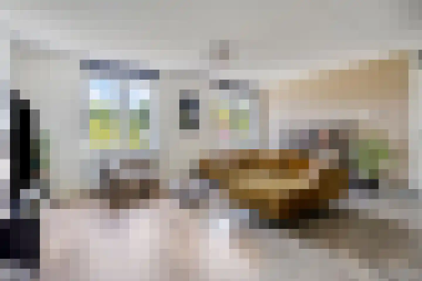 De kas 22 Oss thumbnail 6