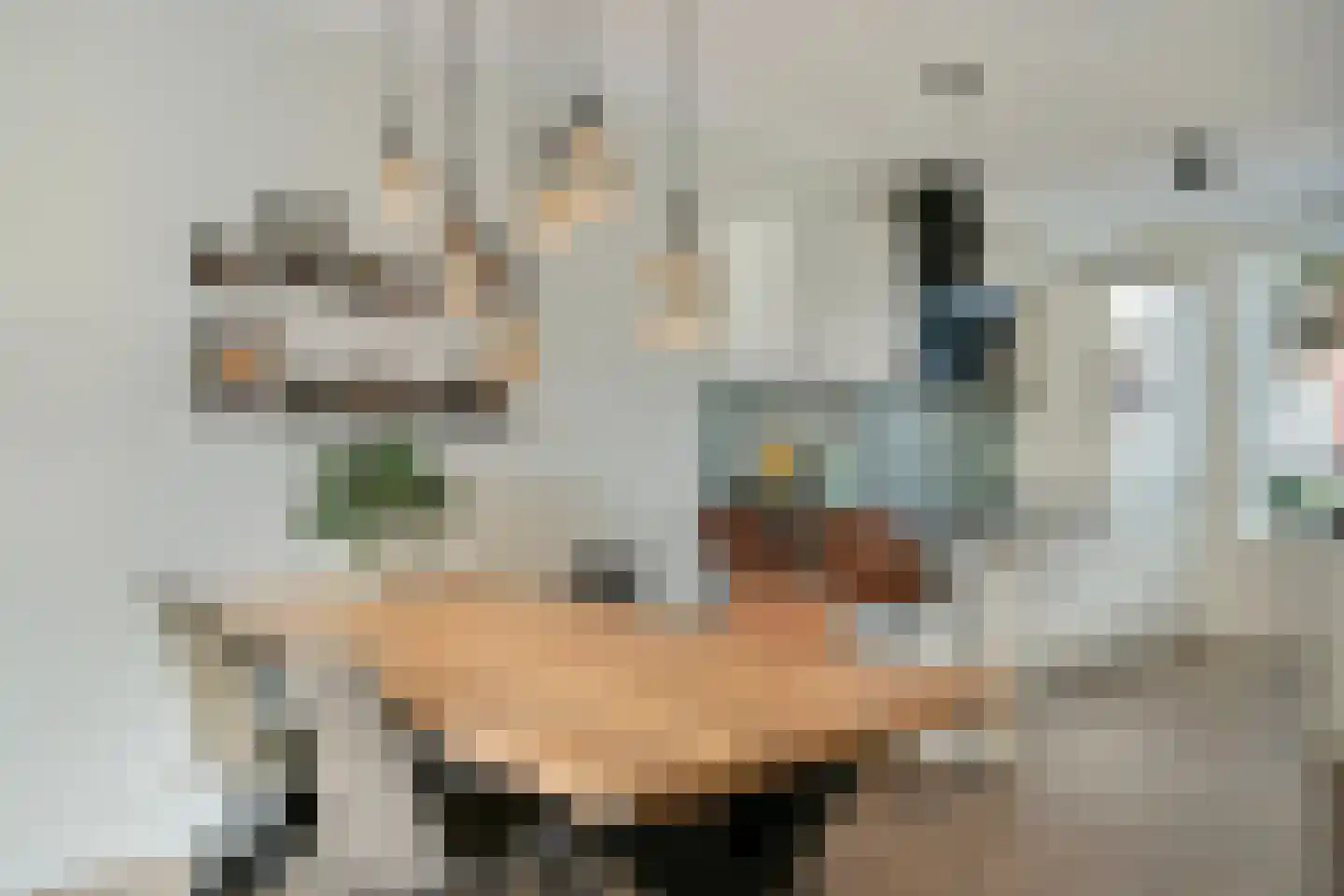 De kas 7 Oss thumbnail 19