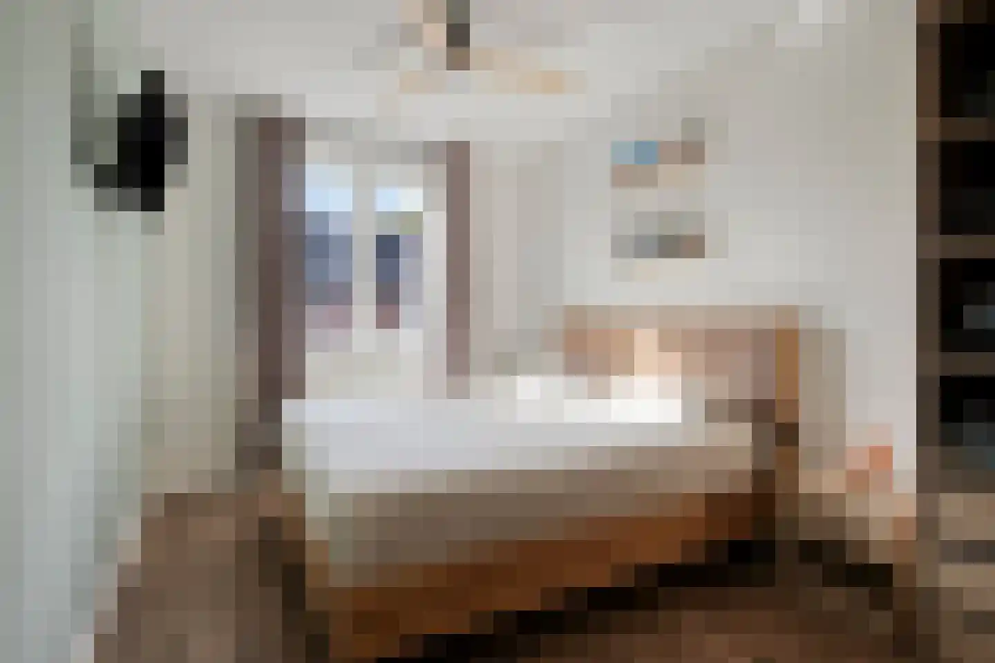 De kas 7 Oss thumbnail 27