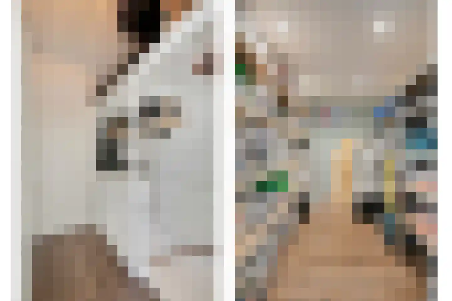 De kas 7 Oss thumbnail 36