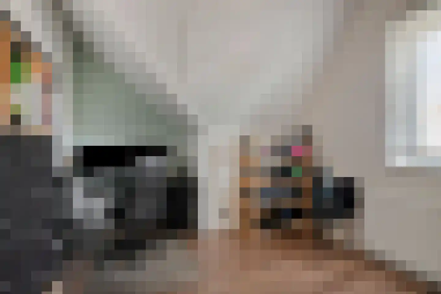 De kas 7 Oss thumbnail 41