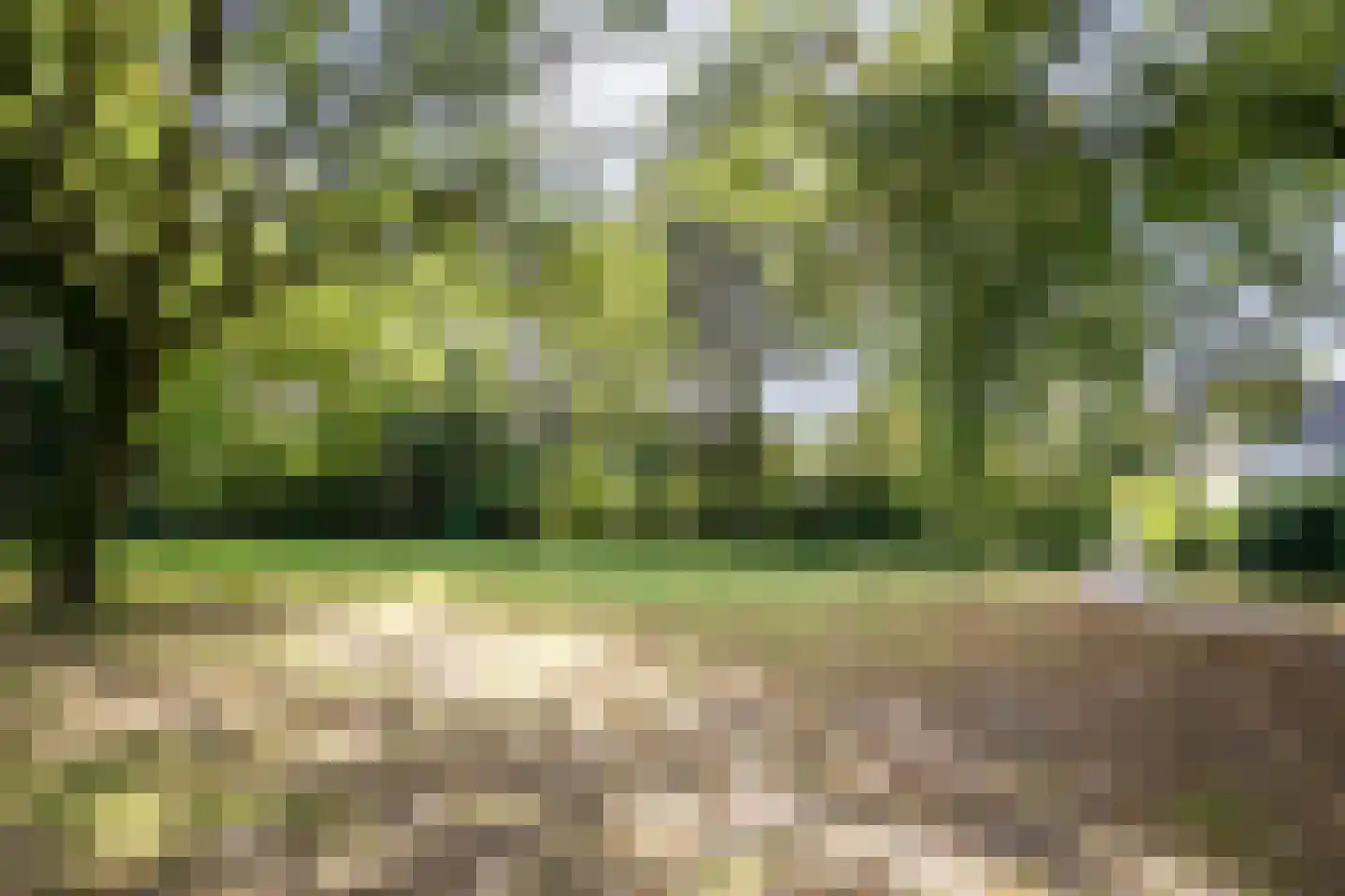 De kas 7 Oss thumbnail 50