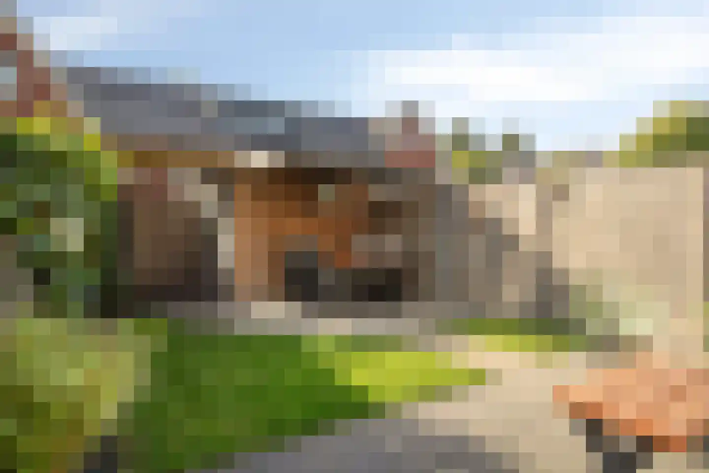 De kas 7 Oss thumbnail 6