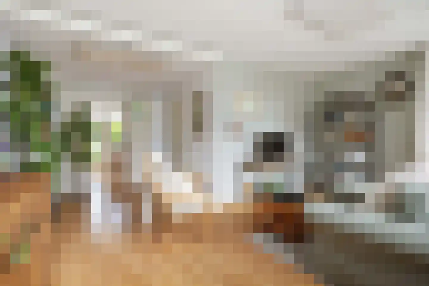 De Kastanje 13 Bedum thumbnail 10