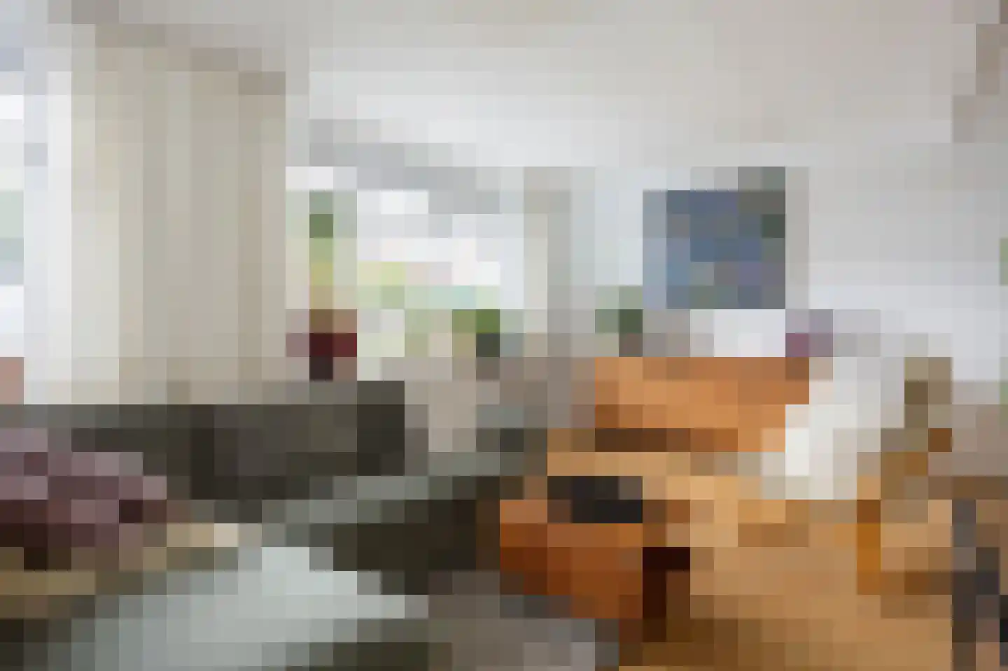 De Kastanje 13 Bedum thumbnail 11