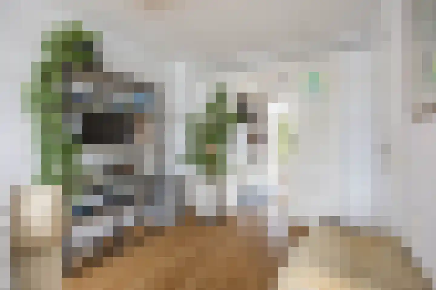 De Kastanje 13 Bedum thumbnail 12