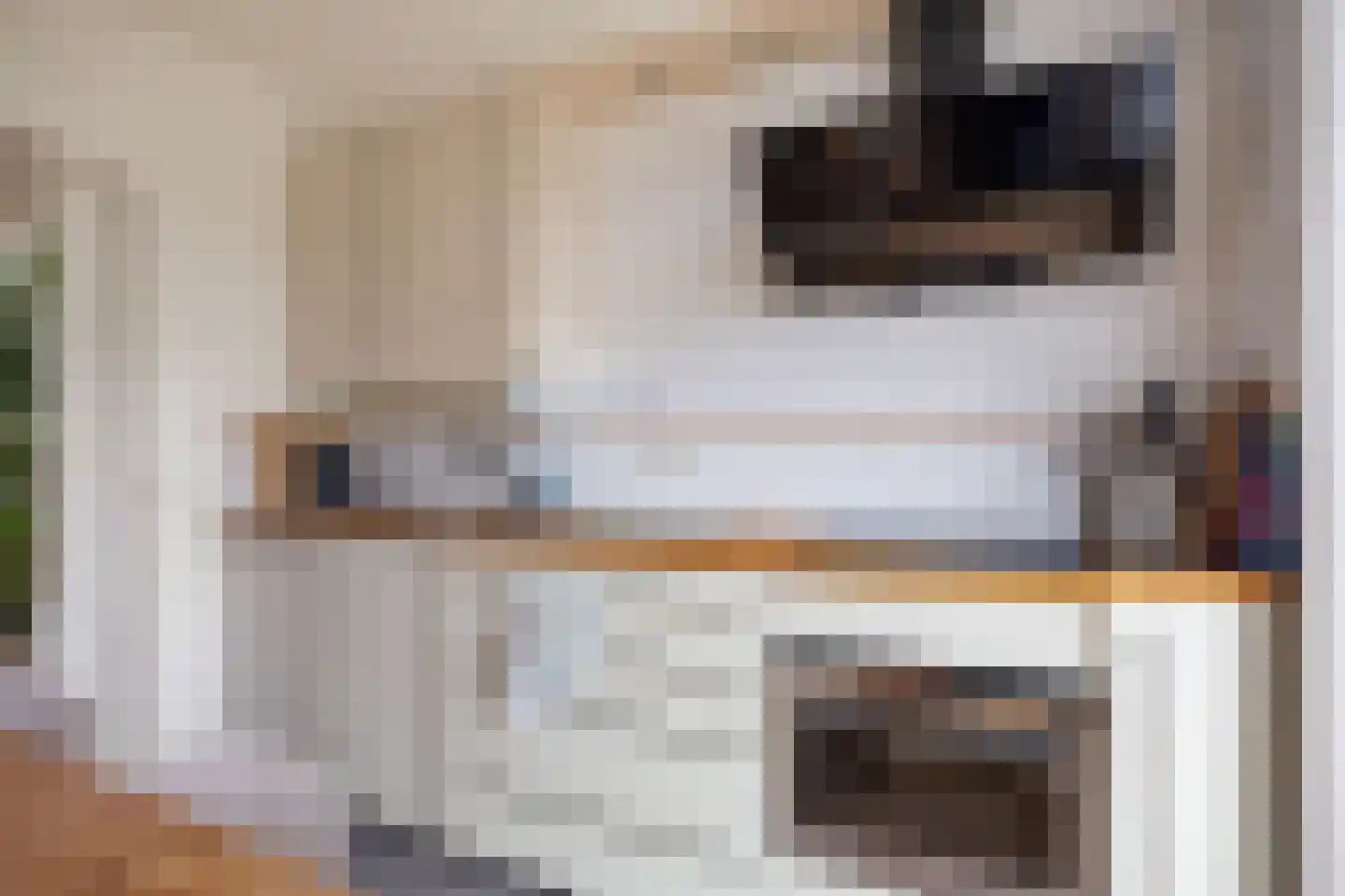 De Kastanje 13 Bedum thumbnail 14