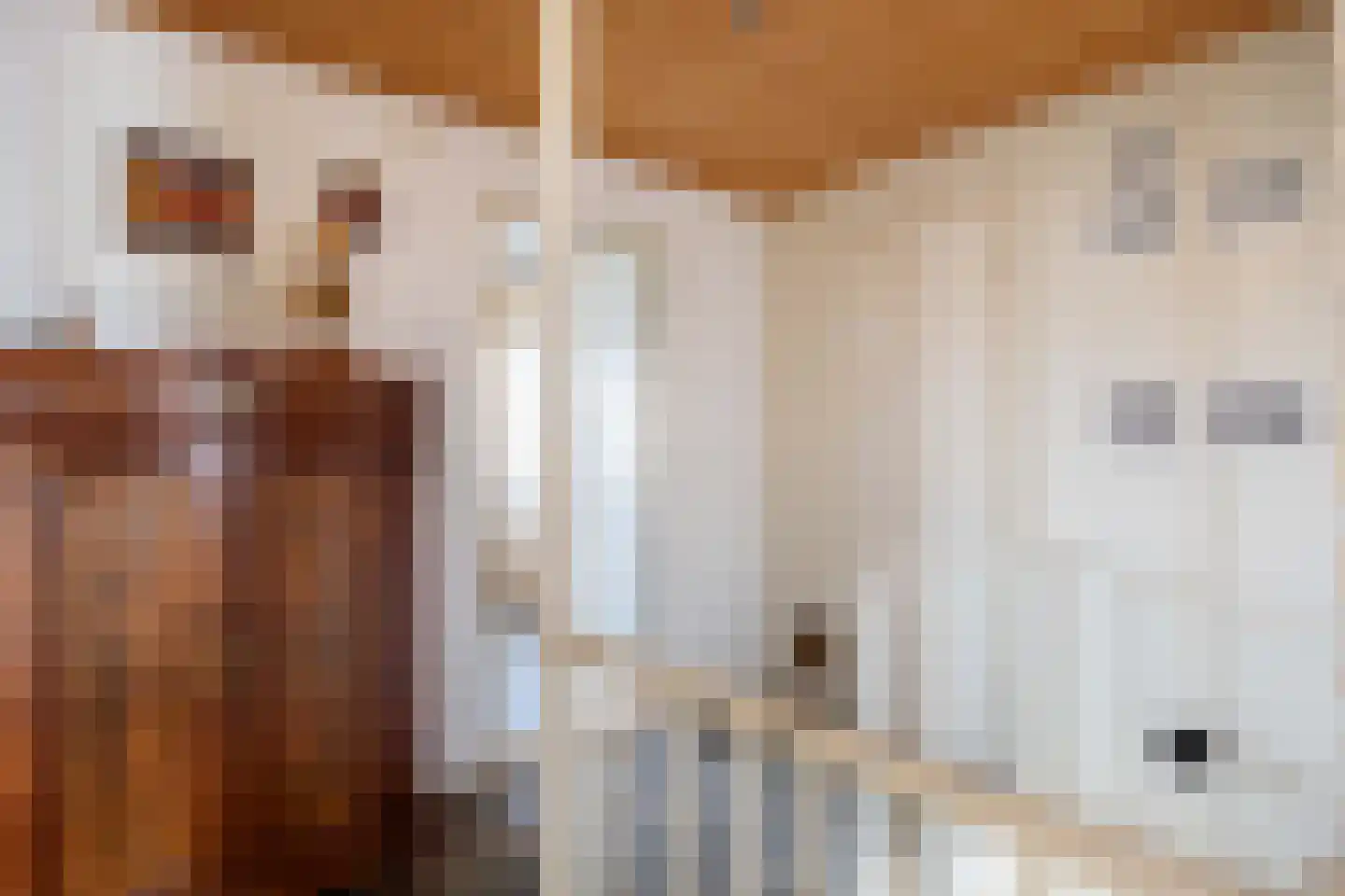 De Kastanje 13 Bedum thumbnail 18