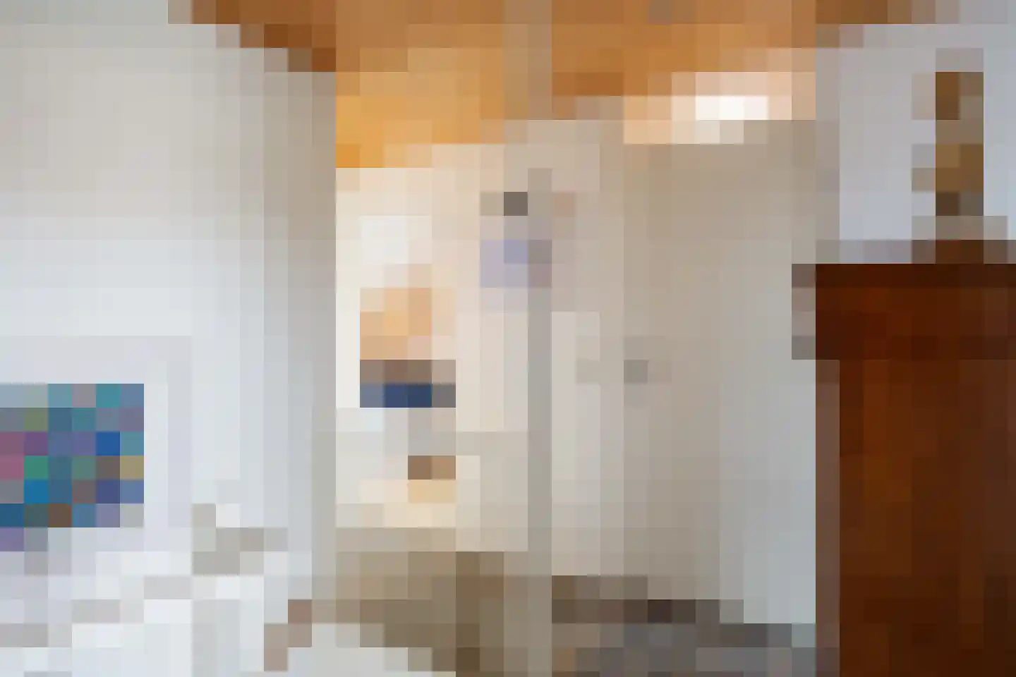 De Kastanje 13 Bedum thumbnail 19