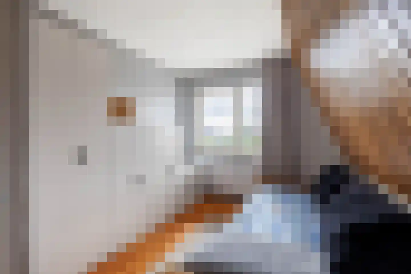 De Kastanje 13 Bedum thumbnail 21
