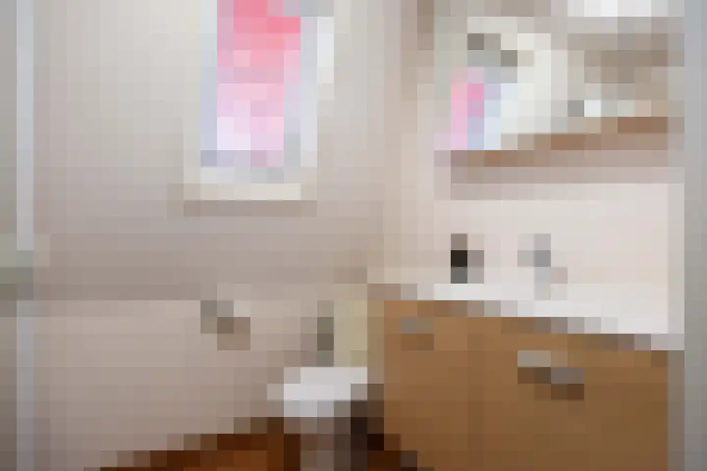 De Kastanje 13 Bedum thumbnail 23