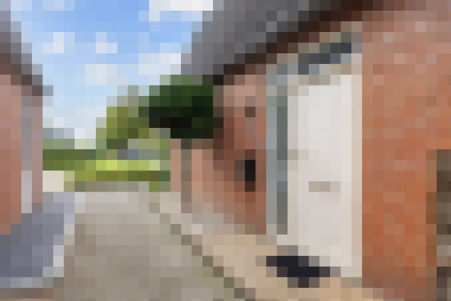 De Kastanje 13 Bedum thumbnail 4