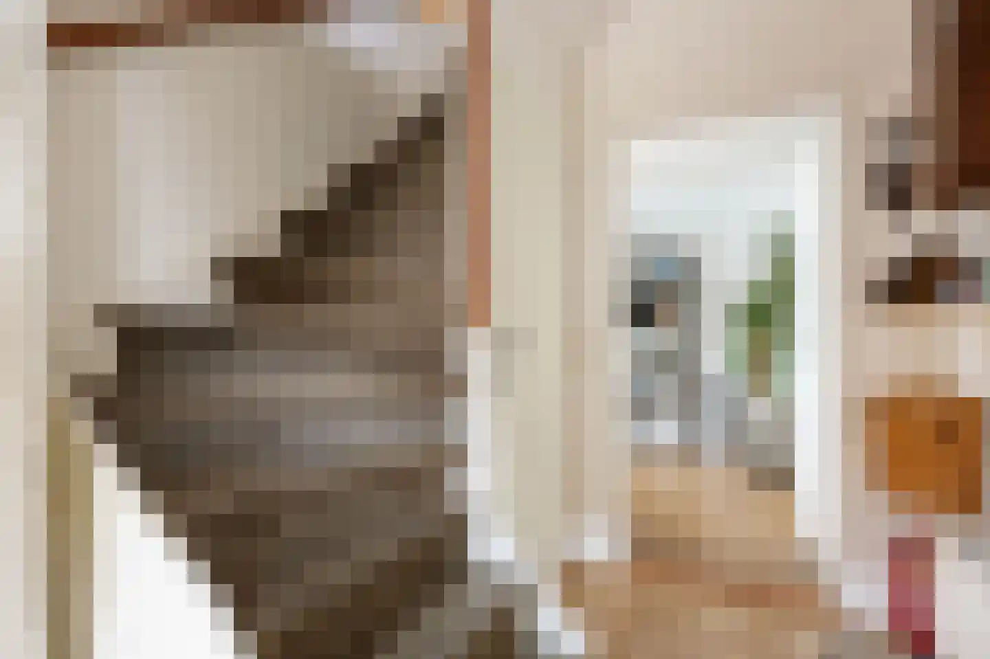De Kastanje 13 Bedum thumbnail 6