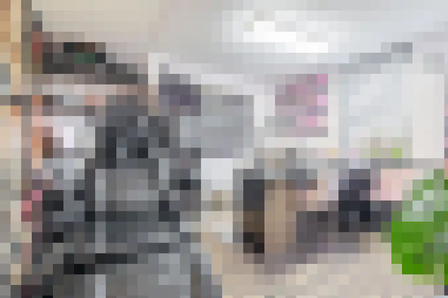 De Kastanje 29 Bedum thumbnail 22