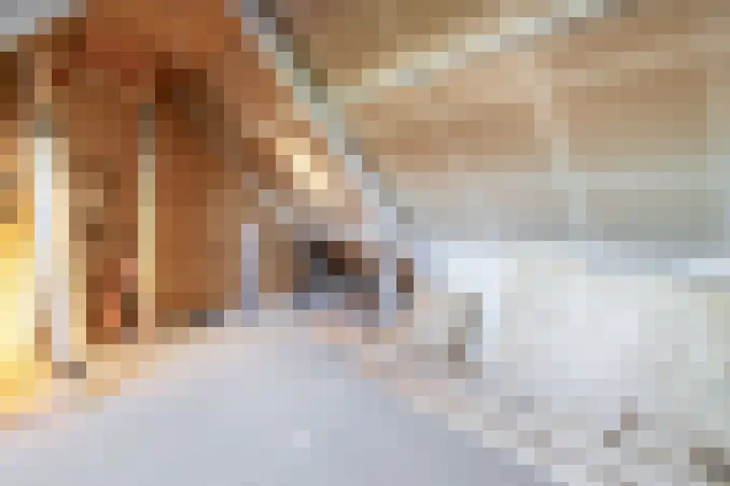 De Kastanje 29 Bedum thumbnail 25
