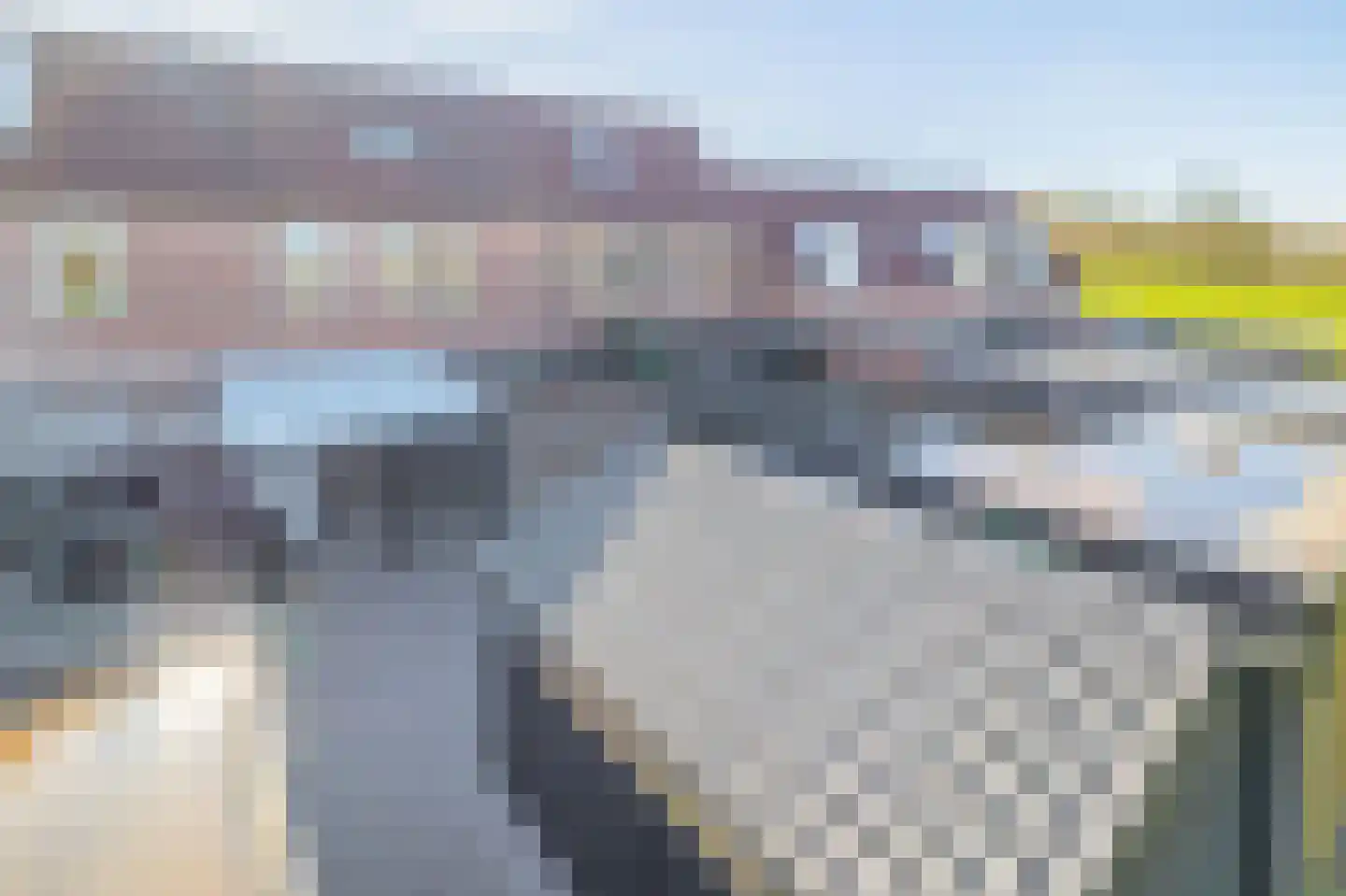 De Kastanje 29 Bedum thumbnail 30