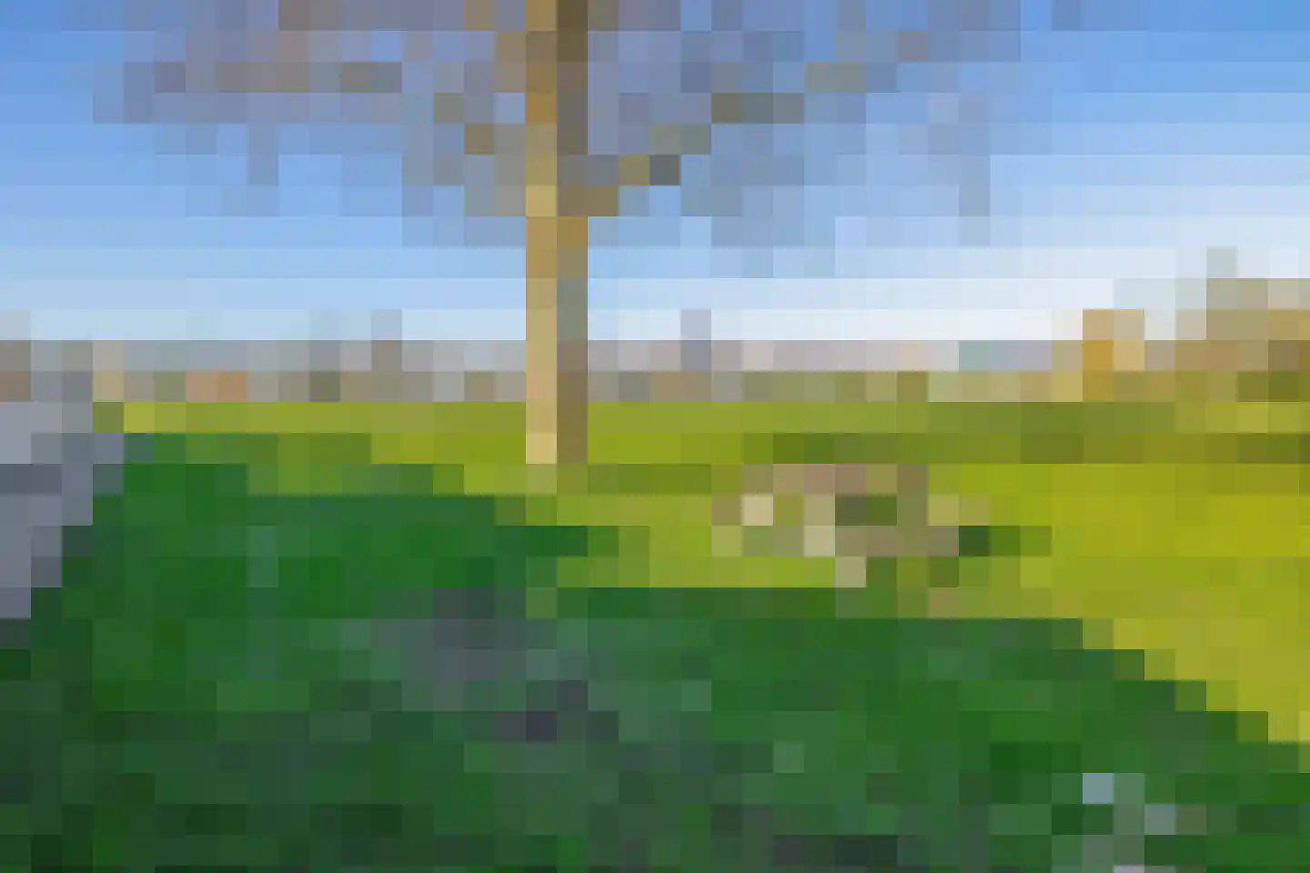 De Kastanje 29 Bedum thumbnail 36