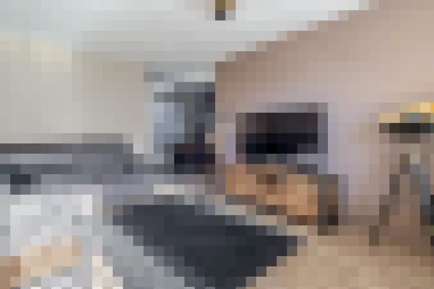De Kastanje 29 Bedum thumbnail 6