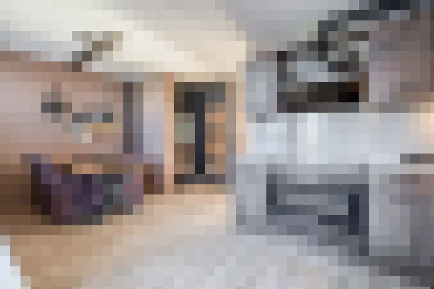 De Kastanje 29 Bedum thumbnail 9