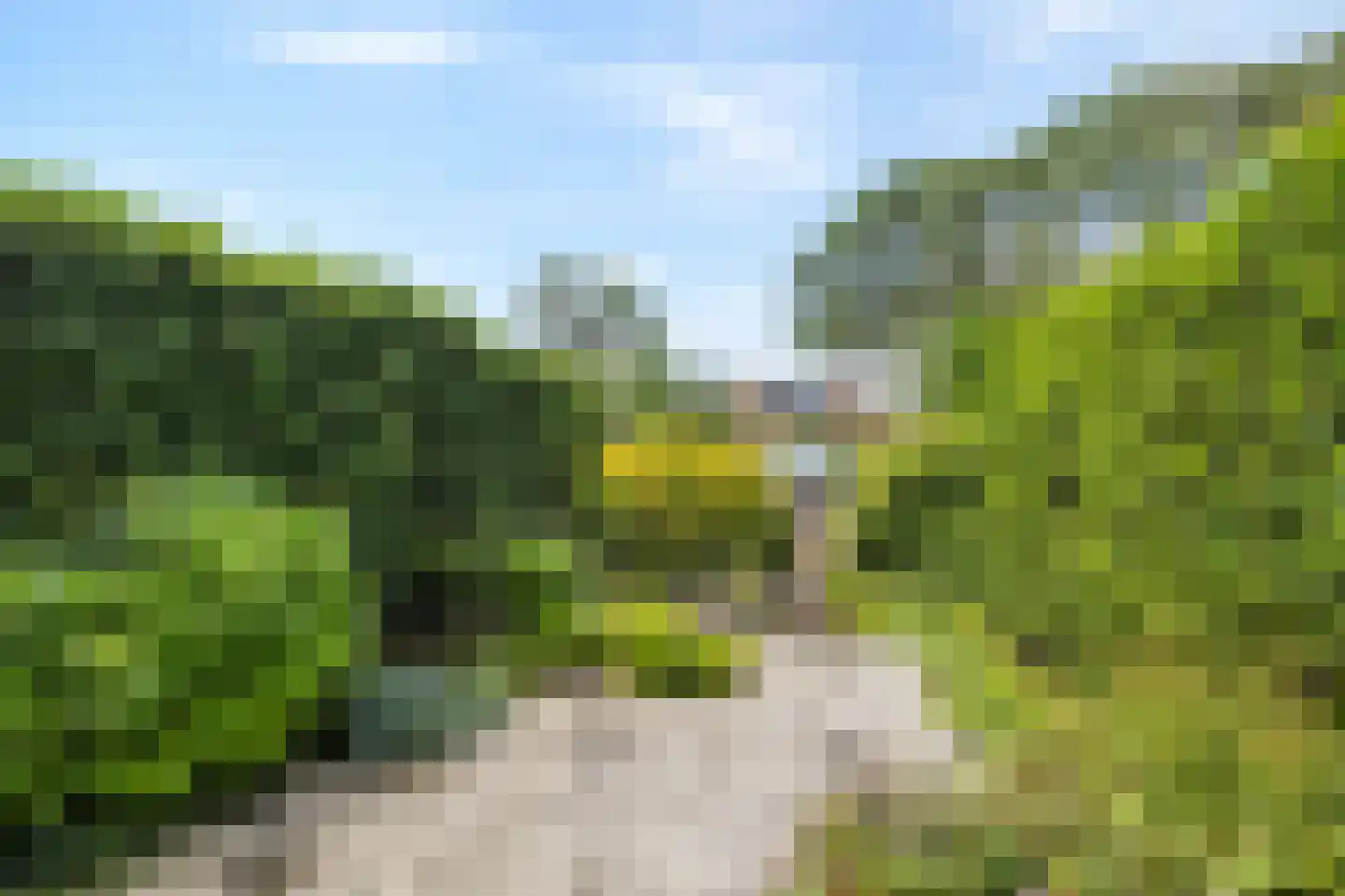 De Kastanje 3 Rhoon thumbnail 14