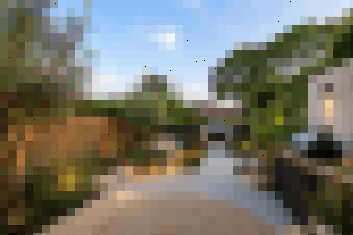 De Kastanje 3 Rhoon thumbnail 15