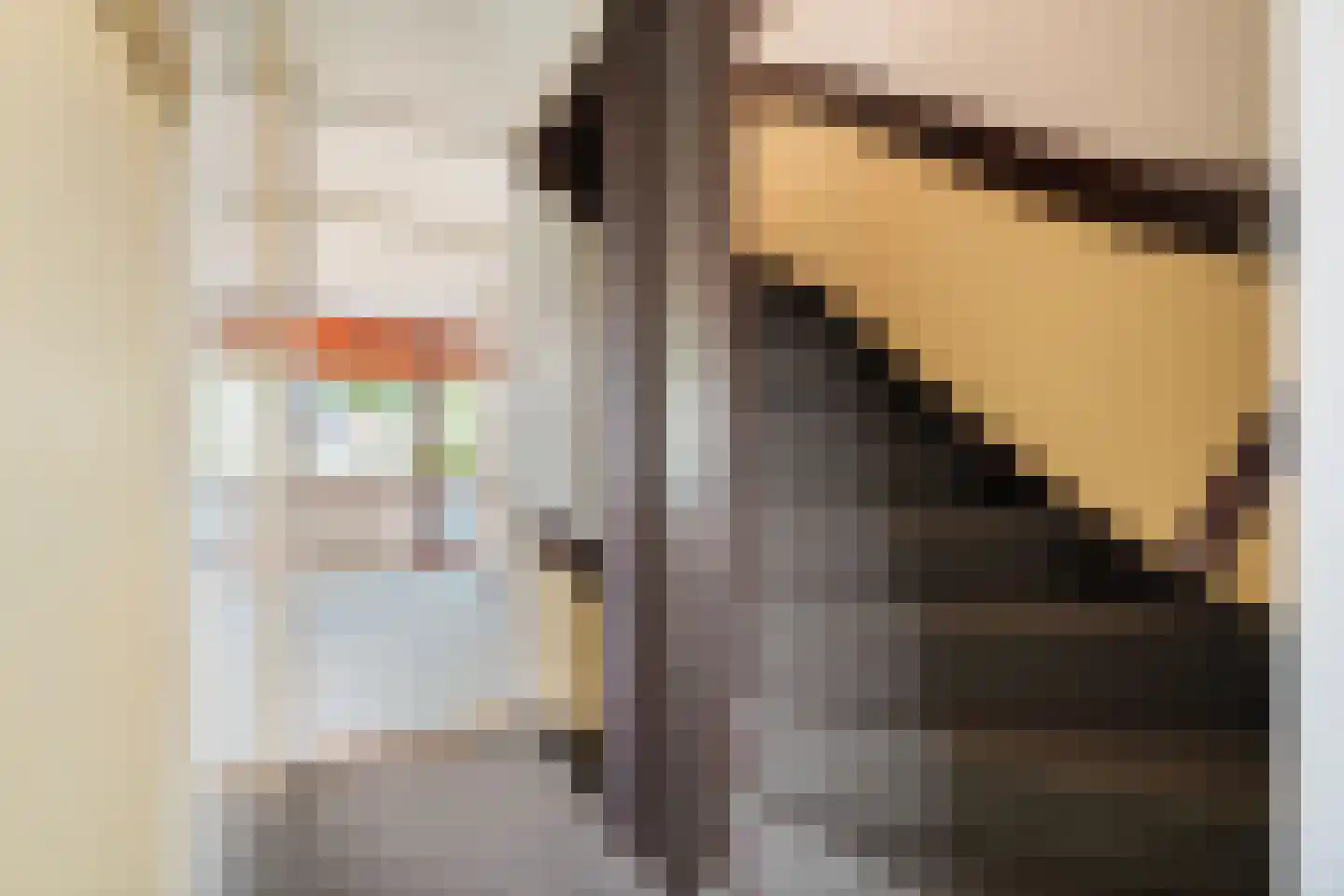 De Kastanje 3 Rhoon thumbnail 25