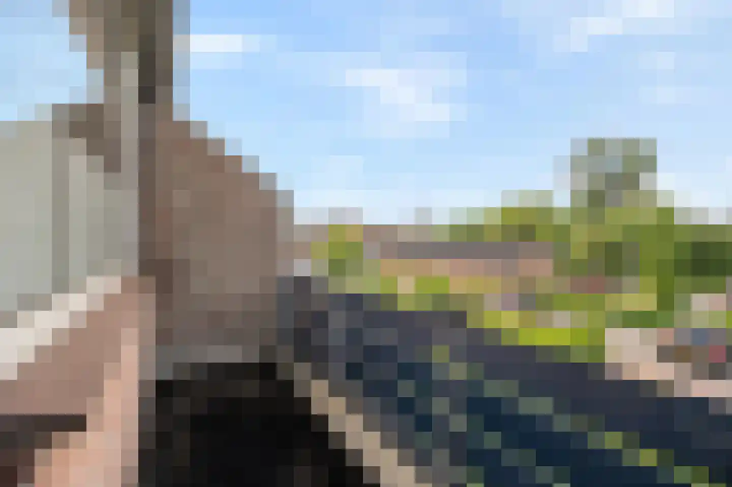 De Kastanje 3 Rhoon thumbnail 28
